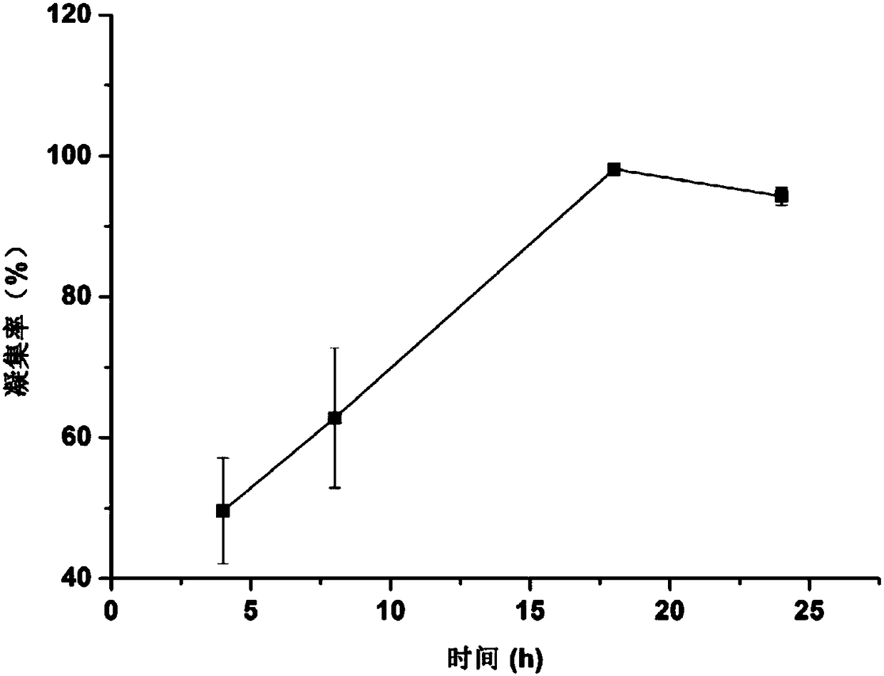 Lactobacillus plantarum ZJUF T17 and application thereof