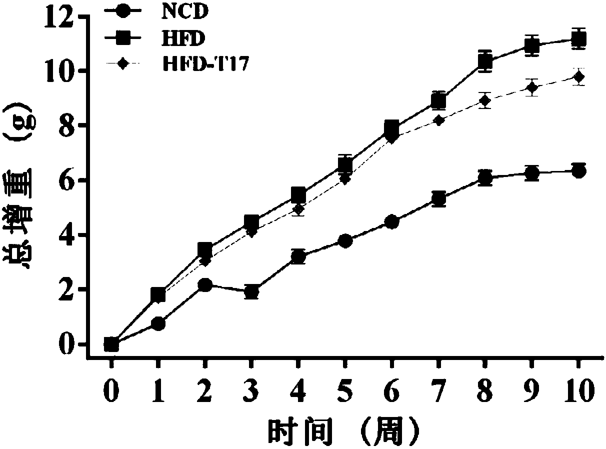 Lactobacillus plantarum ZJUF T17 and application thereof