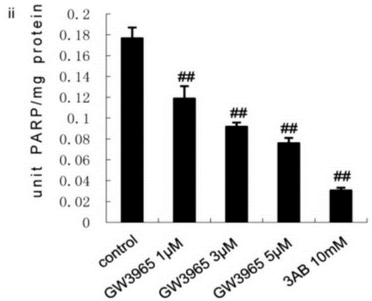 Application of GW3965 as PARP1 inhibitor