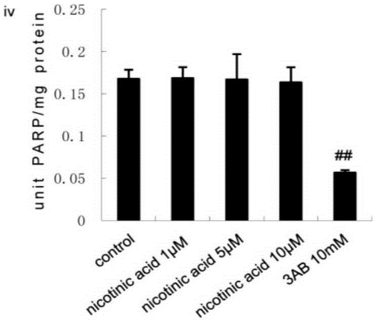 Application of GW3965 as PARP1 inhibitor