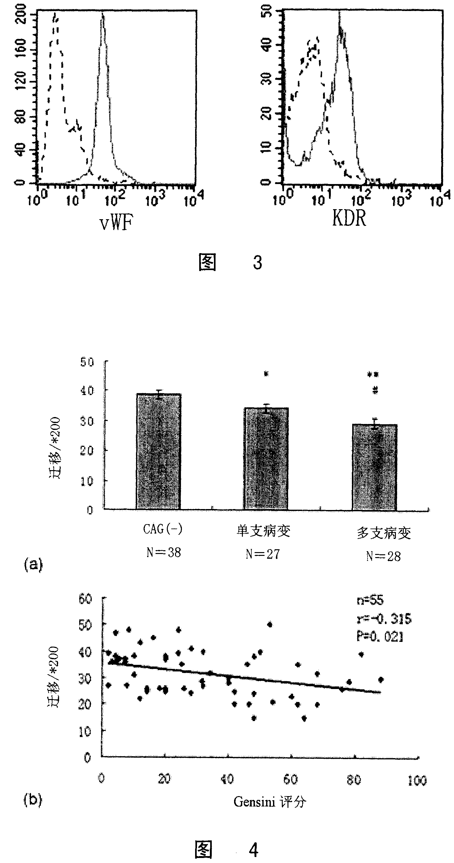 Correlation analysis of circulation endothelium progenitor cell and coronary artery pathological changes