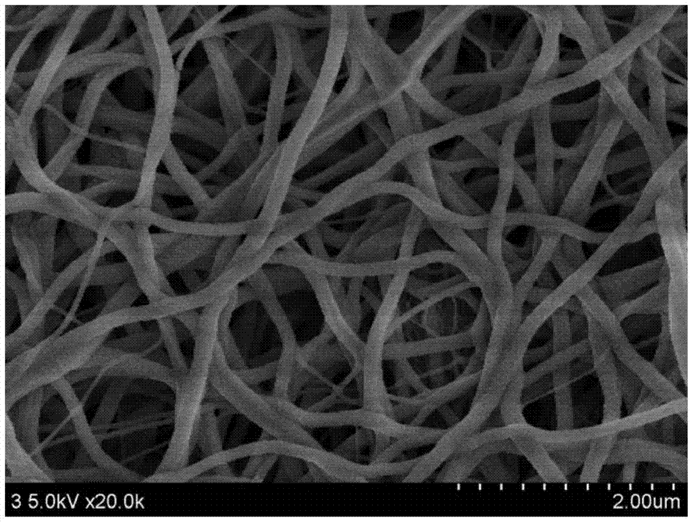 a ta  <sub>3</sub> no  <sub>5</sub> /c composite fiber photocatalyst and preparation method thereof