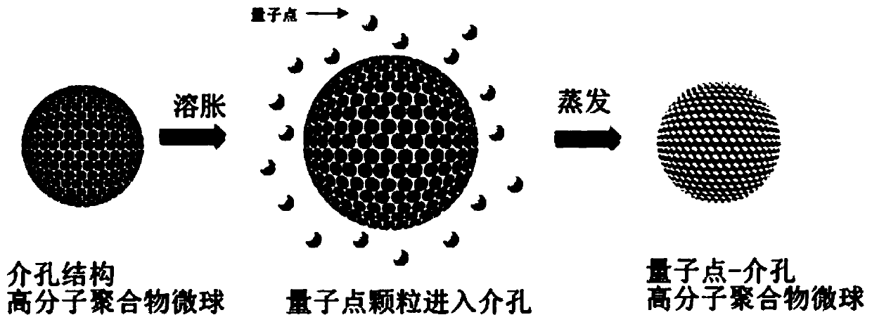 Quantum dot led device and packaging method thereof, backlight strip and backlight module