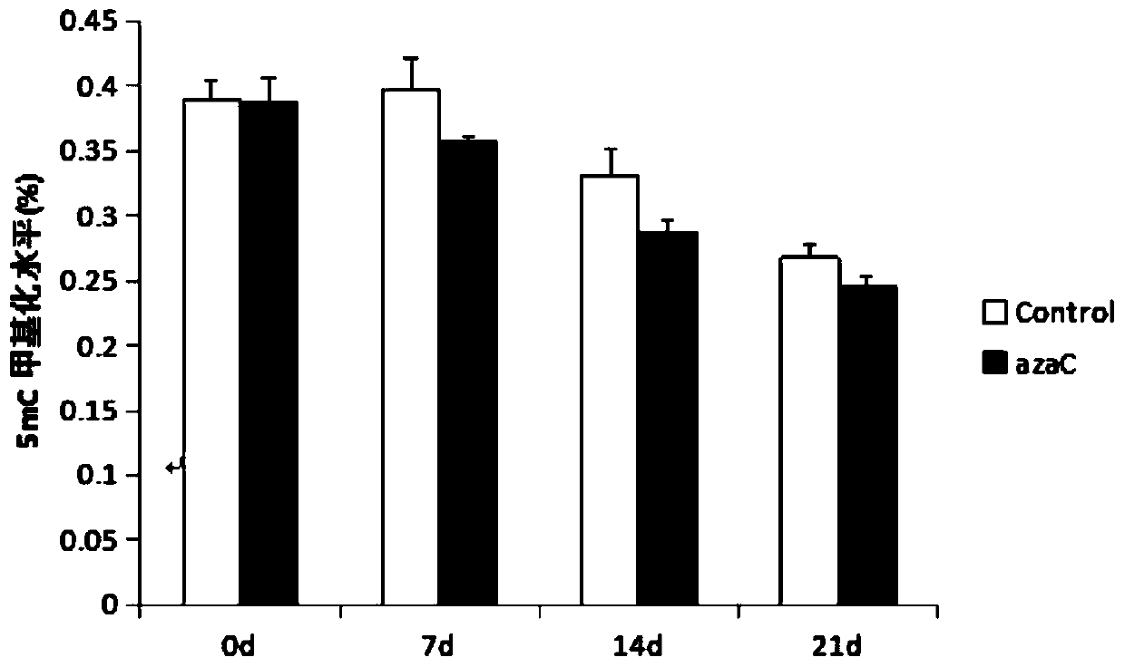 Method for promoting off-season peony flower bud sprouting and branch growth