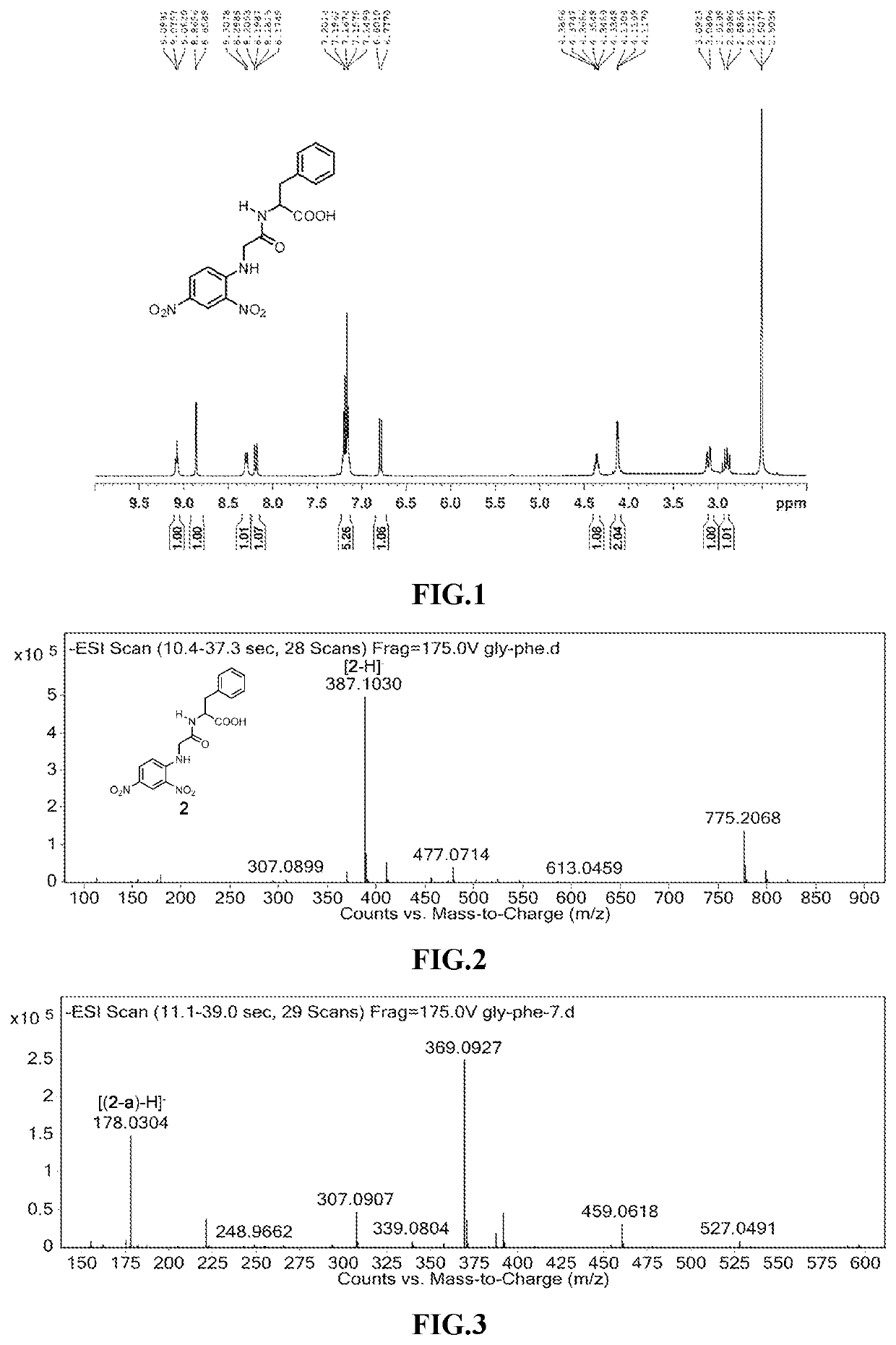 Method for photocleavage of amide bonds