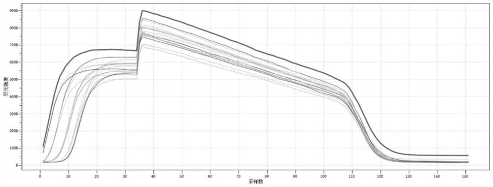 Muscovy duck stress rapid detection method and Muscovy duck stress prevention and control method