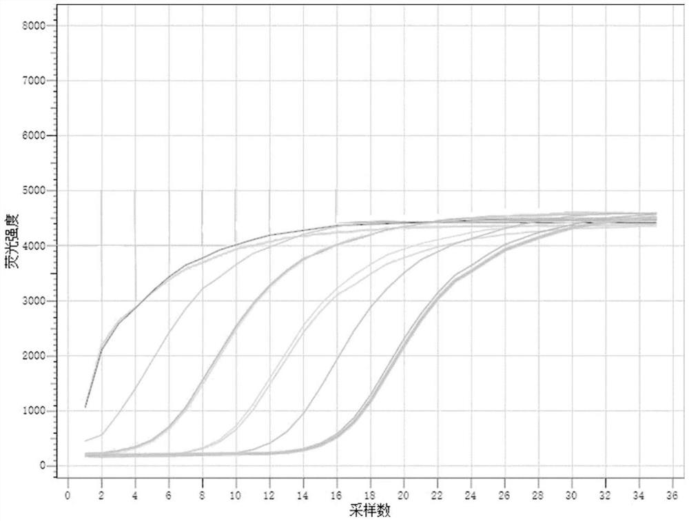 Muscovy duck stress rapid detection method and Muscovy duck stress prevention and control method