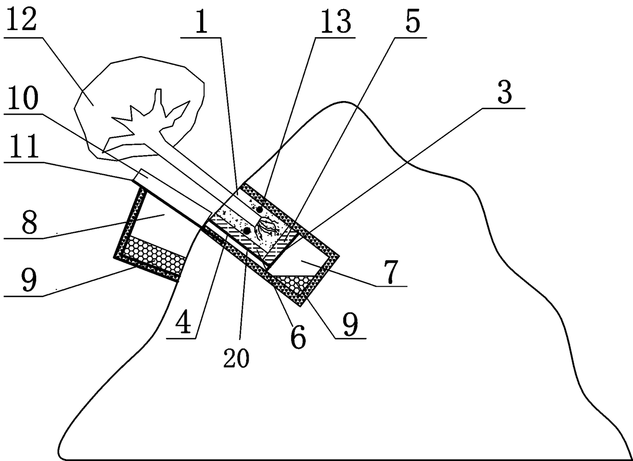 High and steep rock greening device