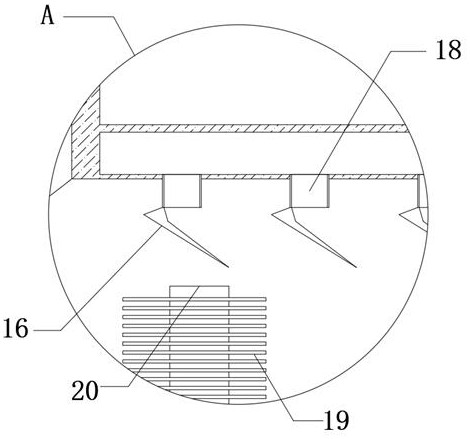 Ball cleaning device for physical education training and learning