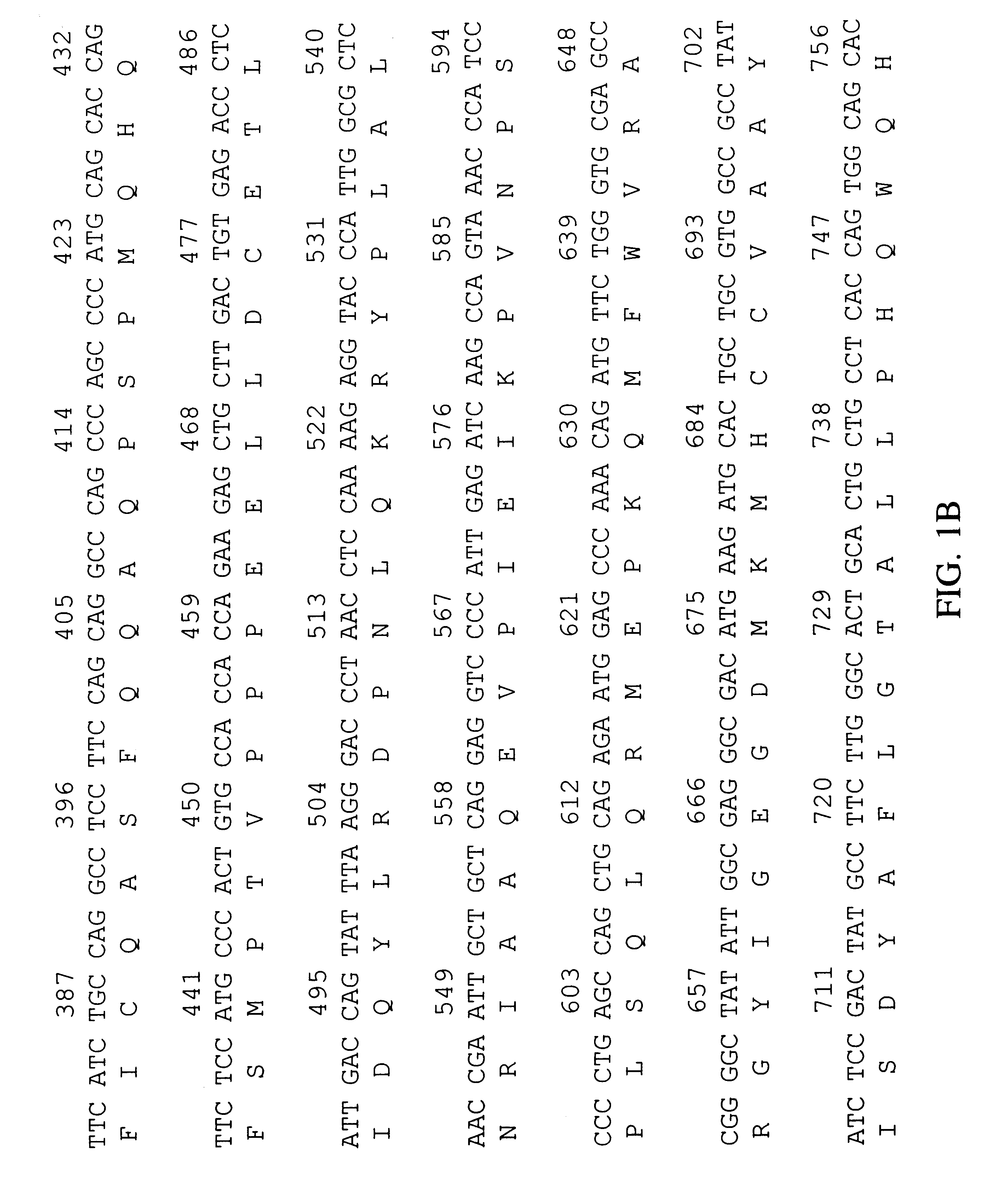 Human peroxisomal thioesterase