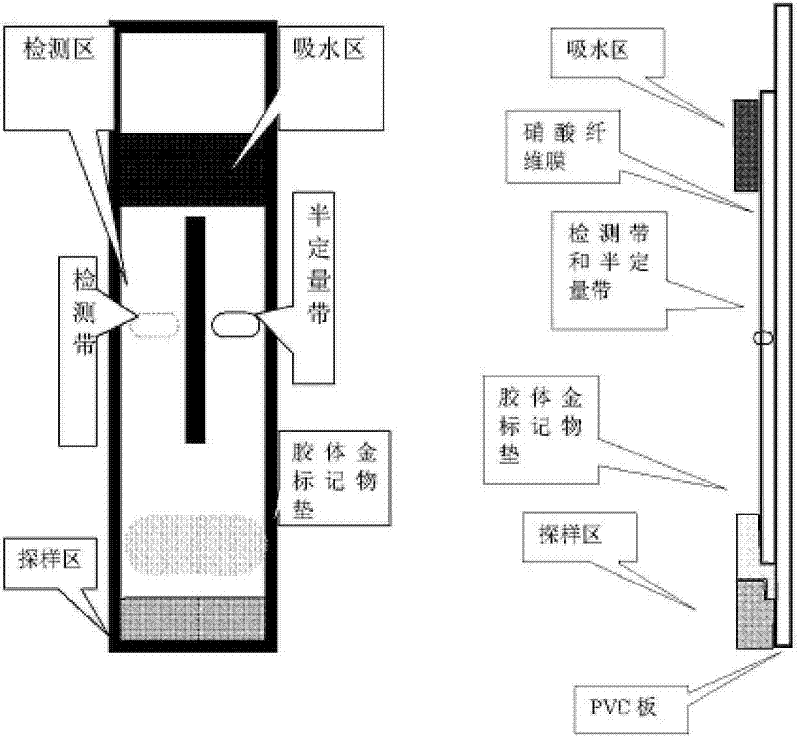 Colloidal gold semi-quantitative quick immunity diagnosis test-paper stripe