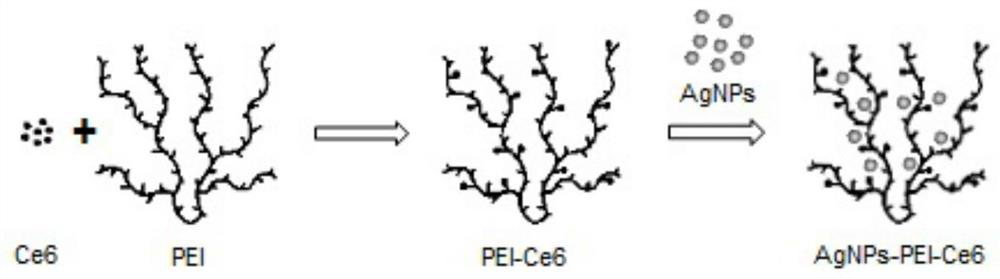 An antibacterial material based on nano silver and photodynamic therapy and its preparation method and application