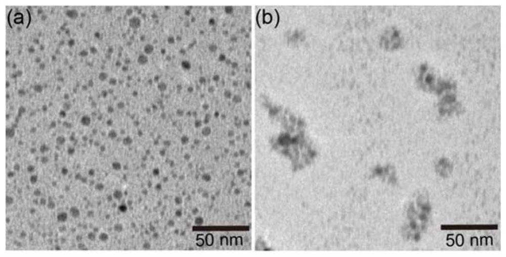 An antibacterial material based on nano silver and photodynamic therapy and its preparation method and application