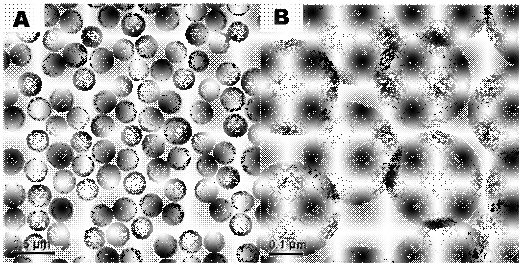 Preparation method of hollow mesoporous silica nanospheres