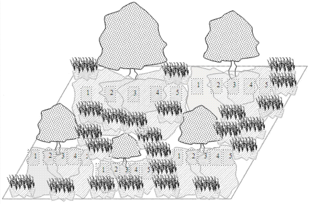 Community establishment method for keeping warm-season type lawn evergreen in cold seasons