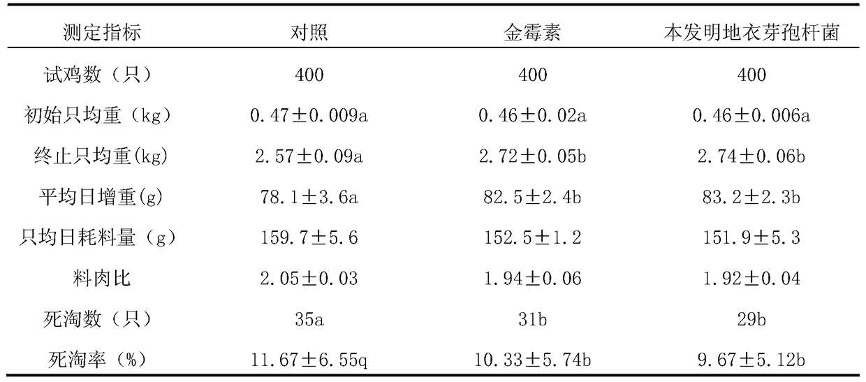 A kind of bacillus licheniformis that replaces antibiotic feed additive and its application