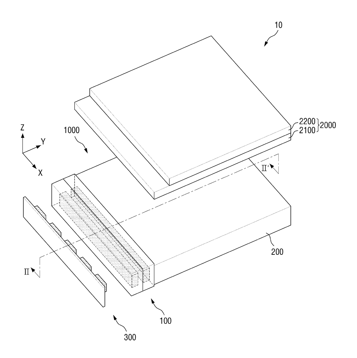 Wavelength conversion member and backlight unit including the same