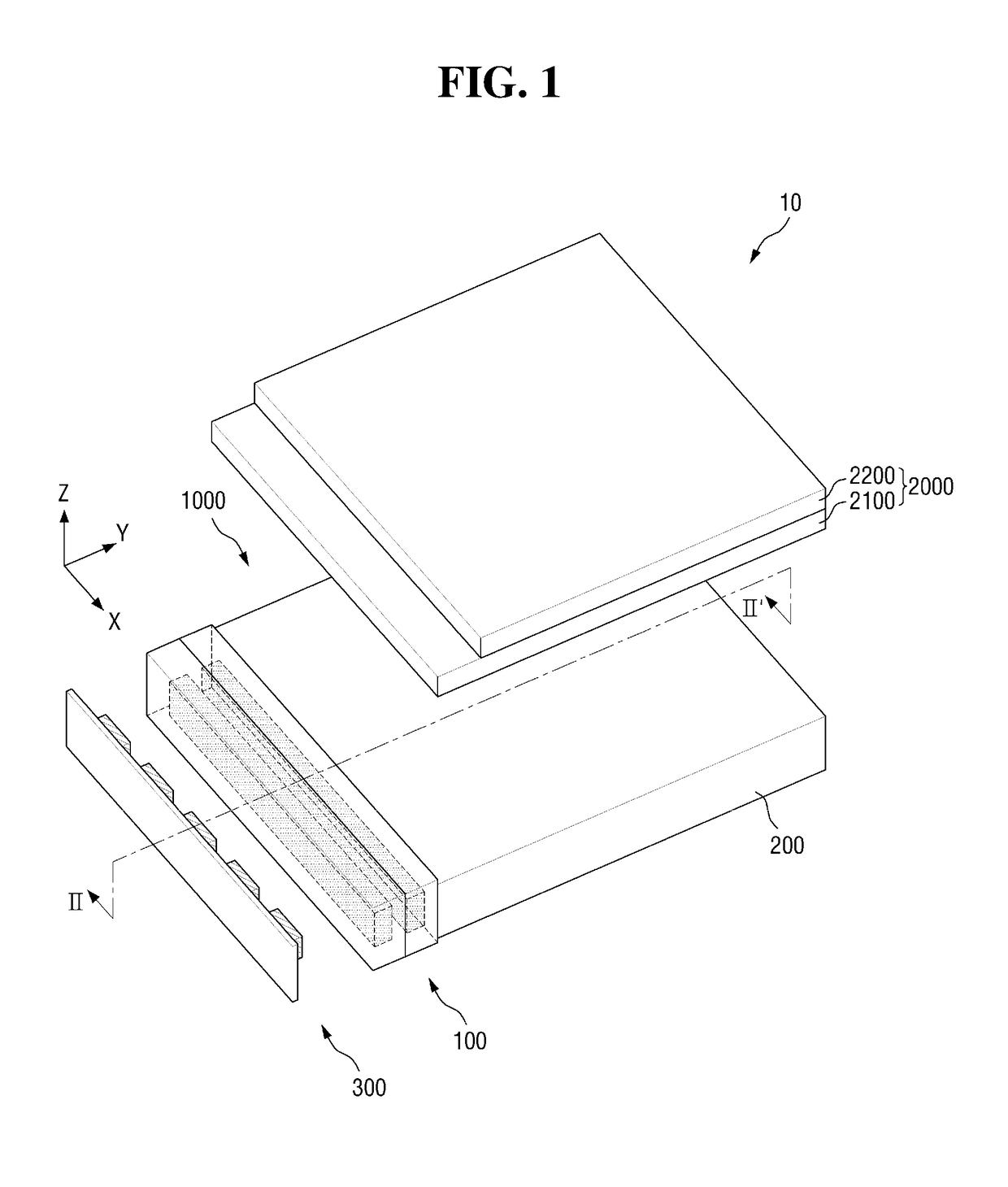 Wavelength conversion member and backlight unit including the same