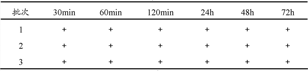 Bromhexine hydrochlorie injection, its preparation method and application