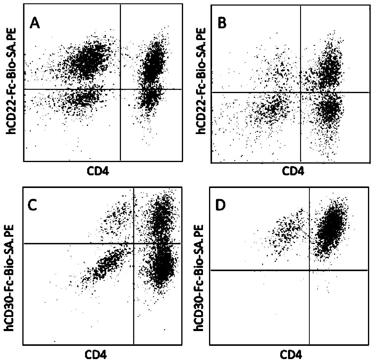 A kind of polypeptide, nucleic acid encoding it, T lymphocyte modified by it and application thereof