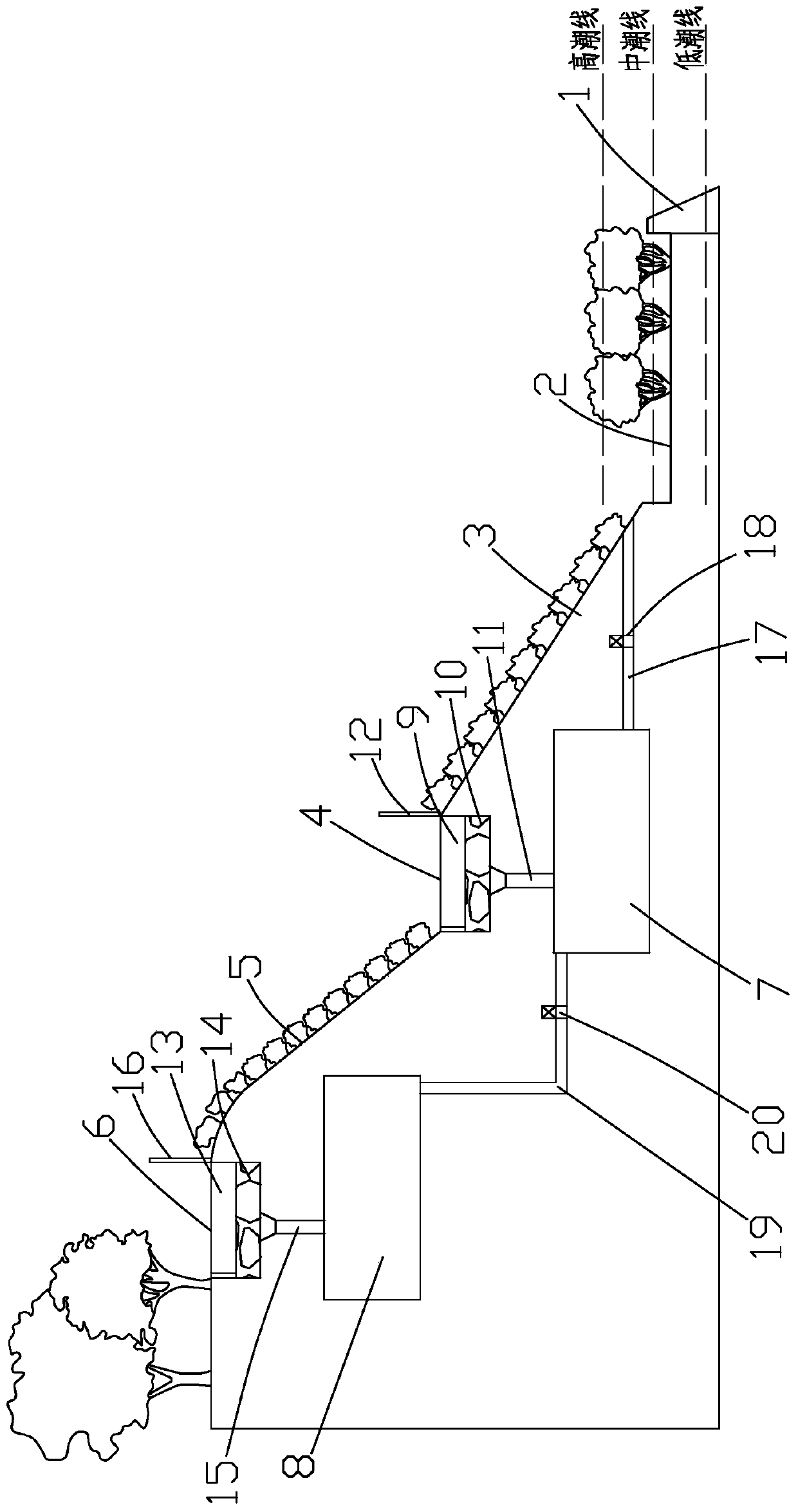 Ecological seawall slope protection structure and construction method thereof