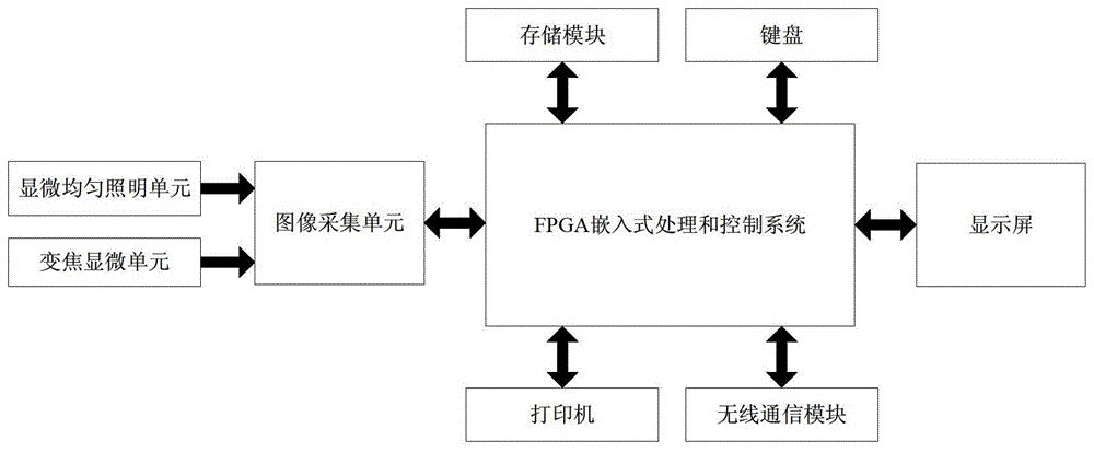 A real-time classification method for plant quarantine larvae