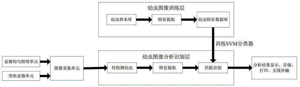 A real-time classification method for plant quarantine larvae