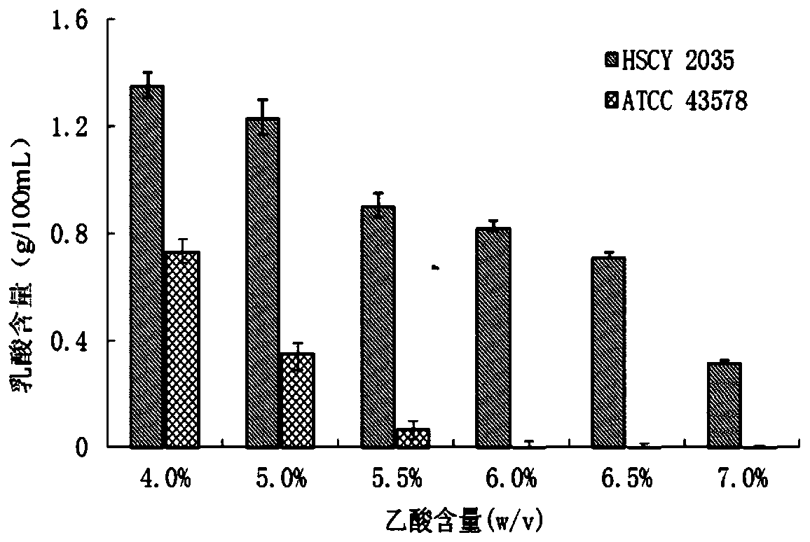 Lactobacillus acetotolerans and application thereof