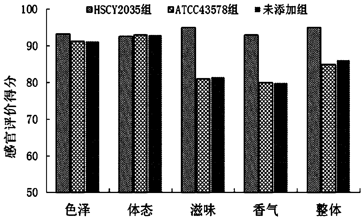 Lactobacillus acetotolerans and application thereof