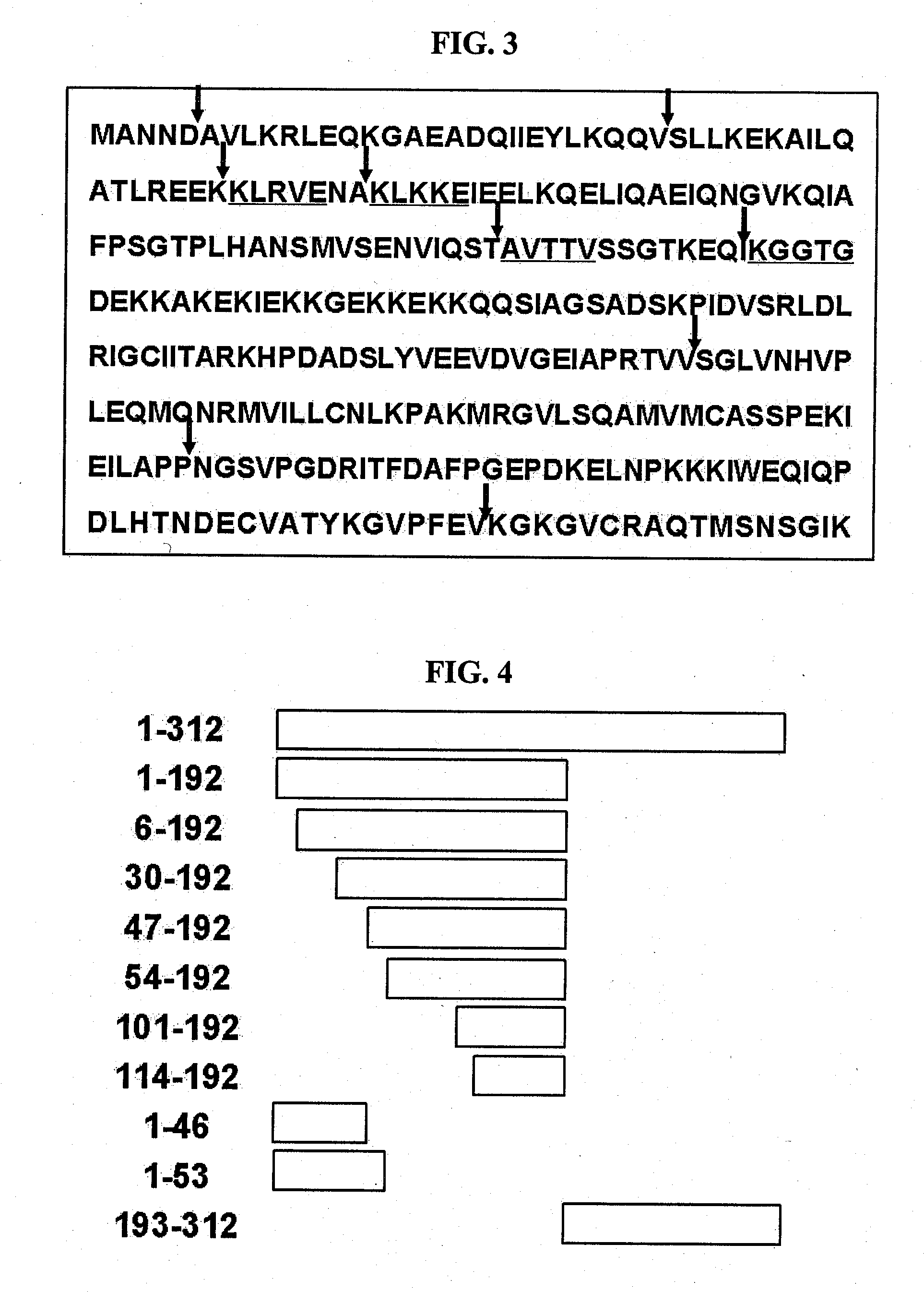 Novel peptide and use thereof