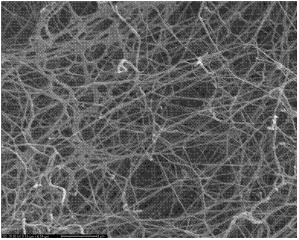 Preparation method of polysaccharide-nanometer bacterial cellulose composite wound dressing