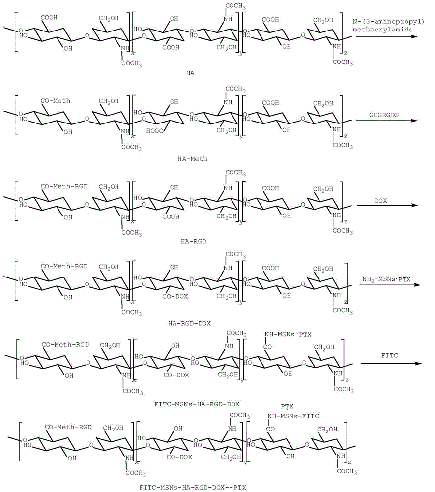 Mesoporous nano silicon ball compound targeting drug delivery system as well as preparation method and application thereof