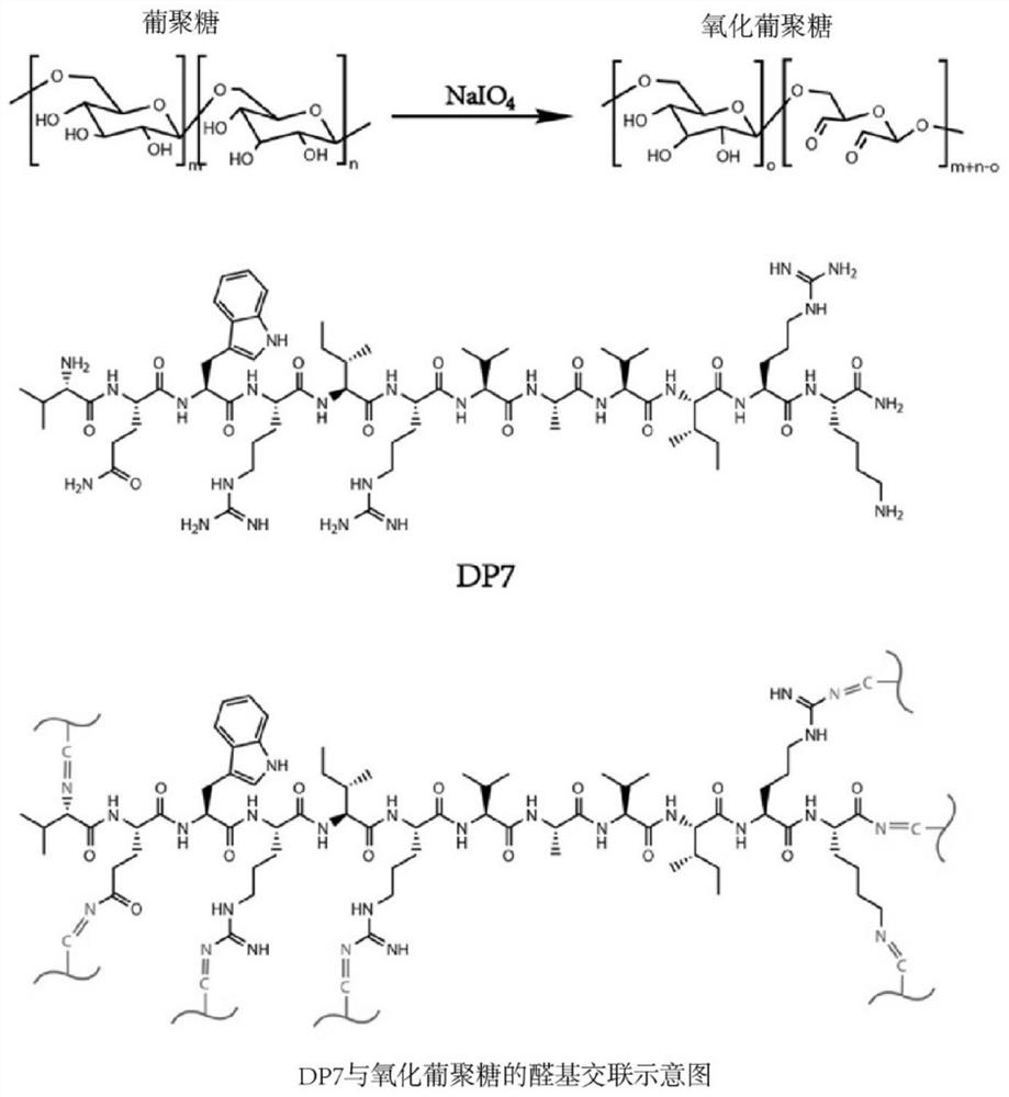 New application of polypeptide, antibacterial gel material and local drug delivery system