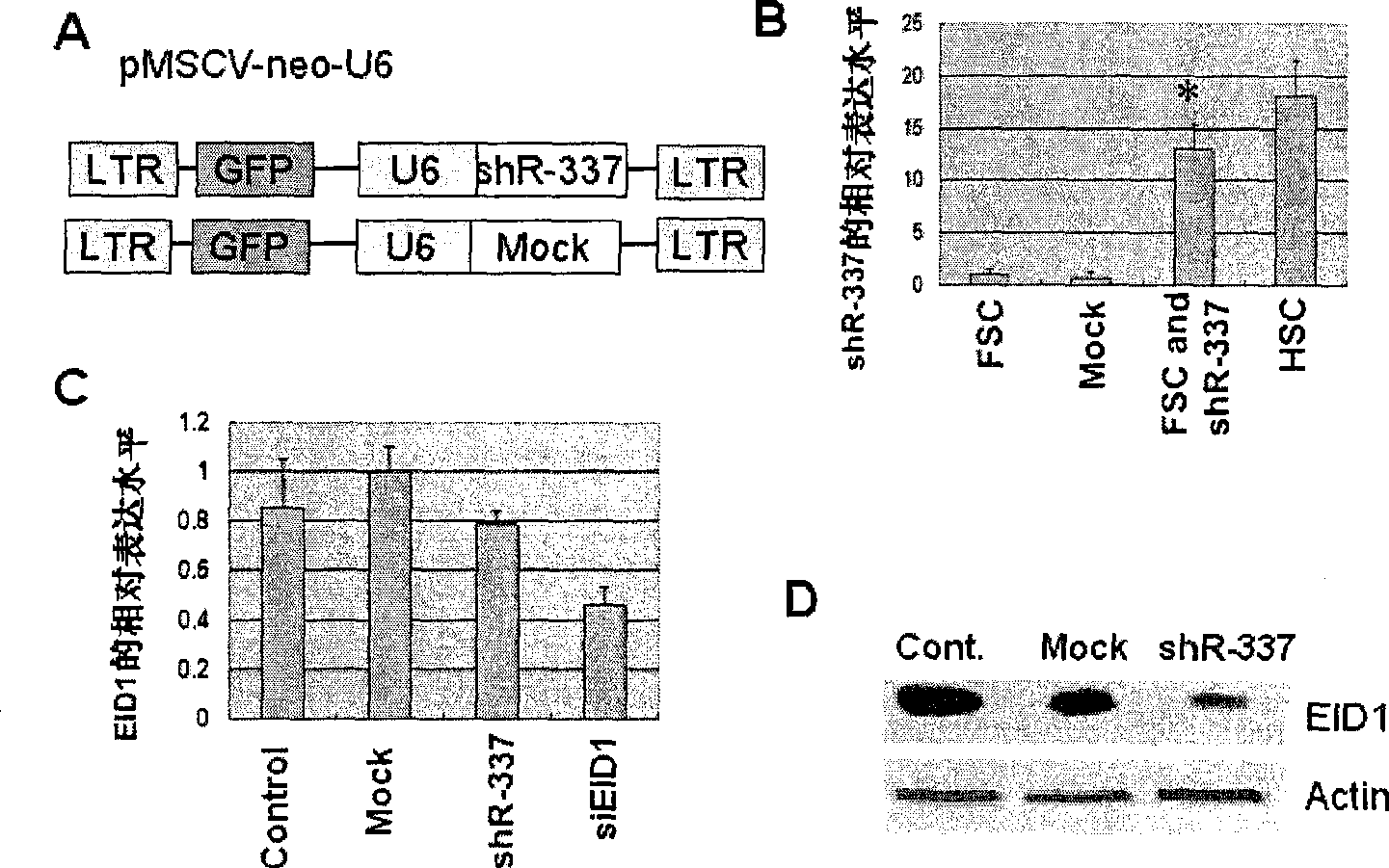 Small RNA numerator for differentiation of mesenchyma stem cell into hematopoiesis cell and function target point thereof