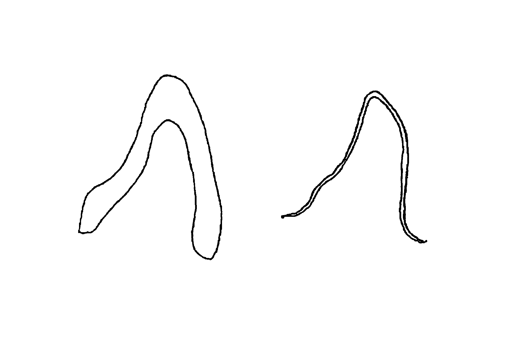 Tooth for jaw tooth model and method for producing the same