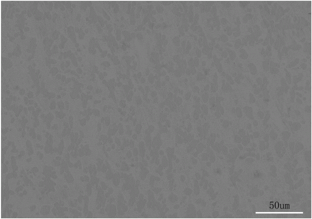 Laser surface modification method of copper-chromium alloy contact