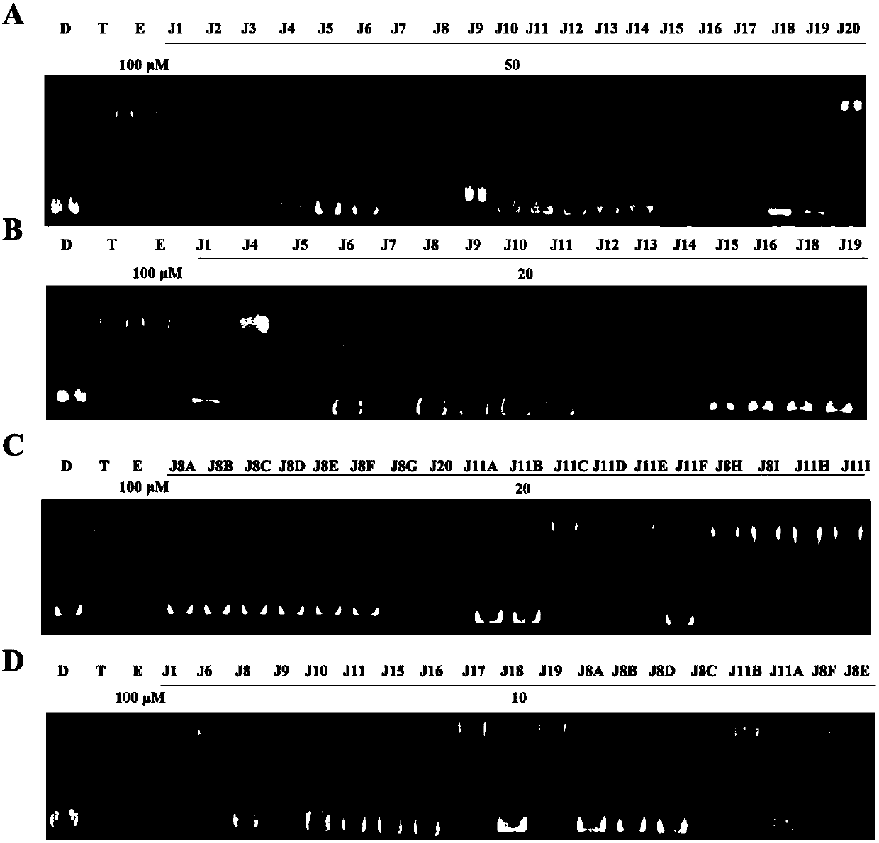 Benzimidazole derivative, preparation method thereof and application of benzimidazole derivative to tumor resistance