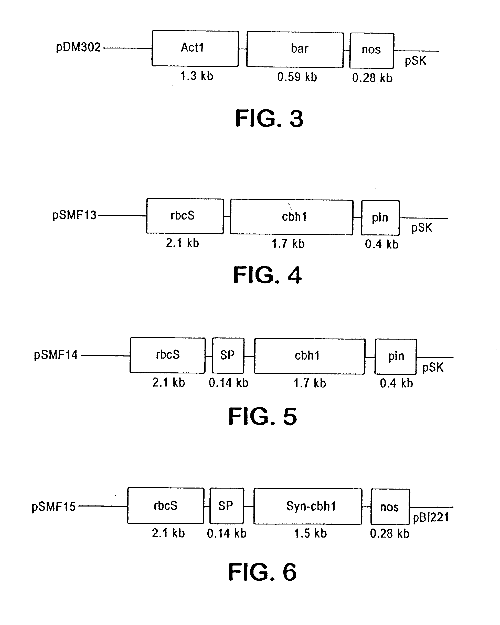 Transgenic cover plants containing hemicellulase and cellulase which degrade lignin and cellulose to fermentable sugars