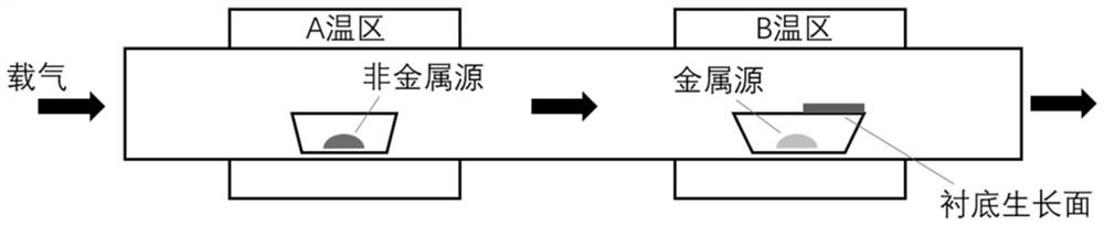 Preparation method of catalyst dual-assisted two-dimensional transition metal chalcogenide film