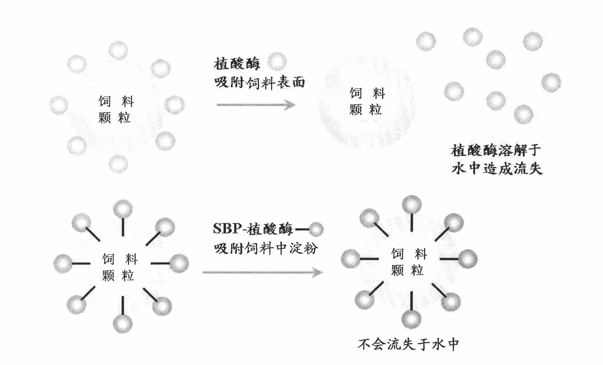 Method and system for protein purification