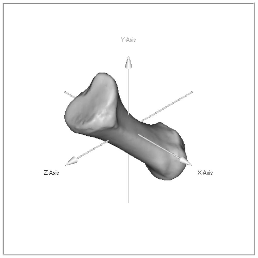 A Reconstruction Method of Fragmented Foot Fossils