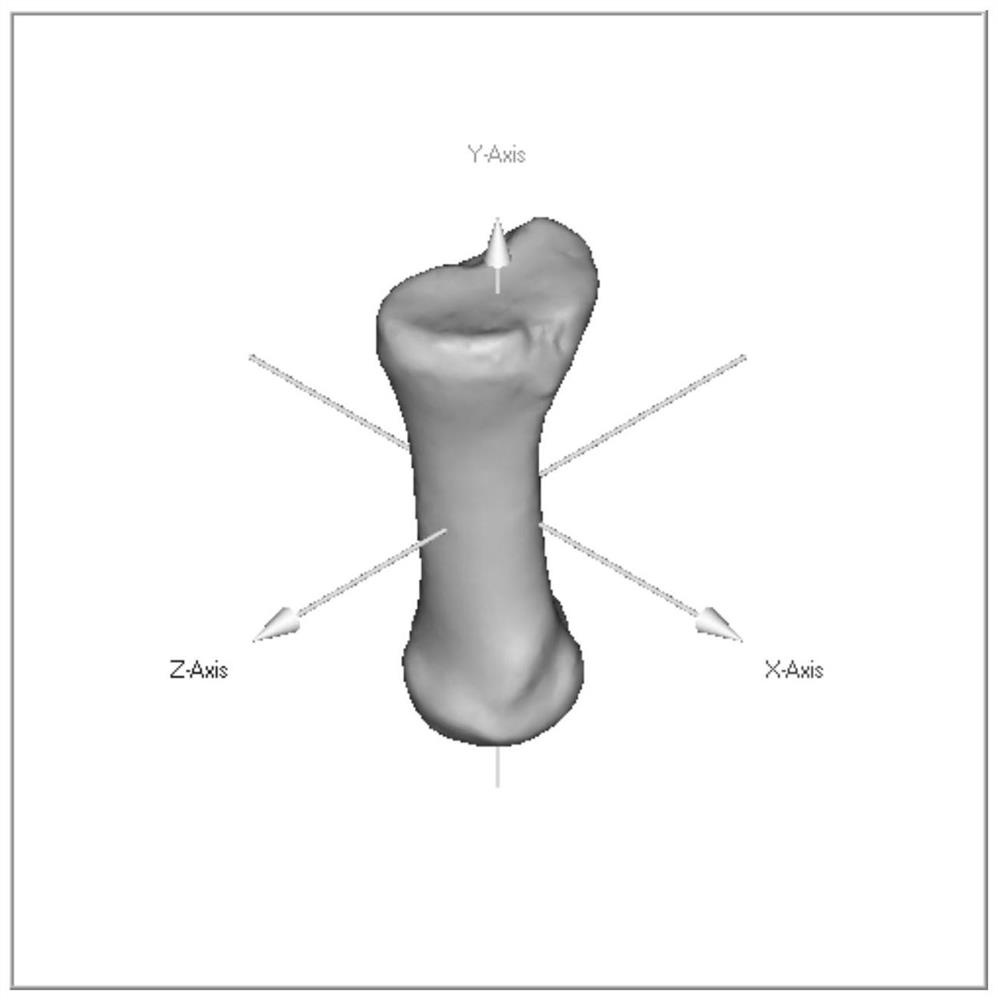 A Reconstruction Method of Fragmented Foot Fossils