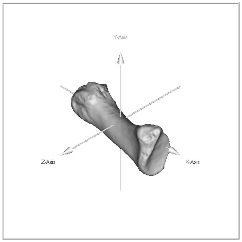 A Reconstruction Method of Fragmented Foot Fossils