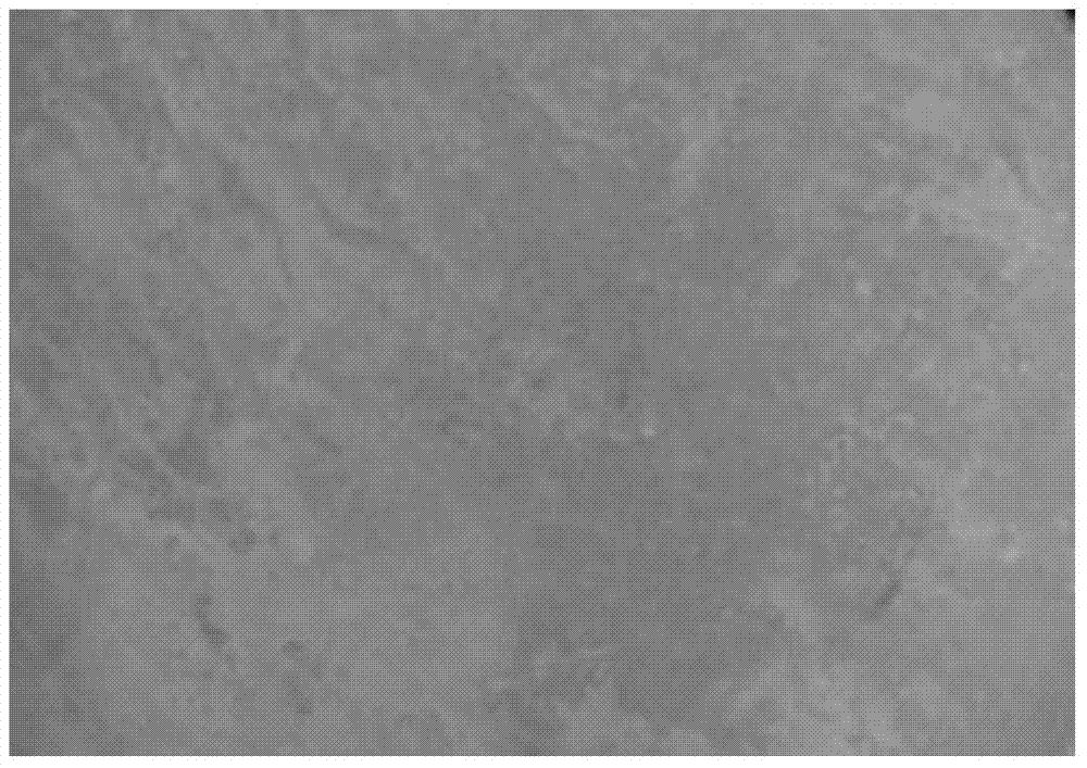 Continuous casting method of continuous-cast round billets