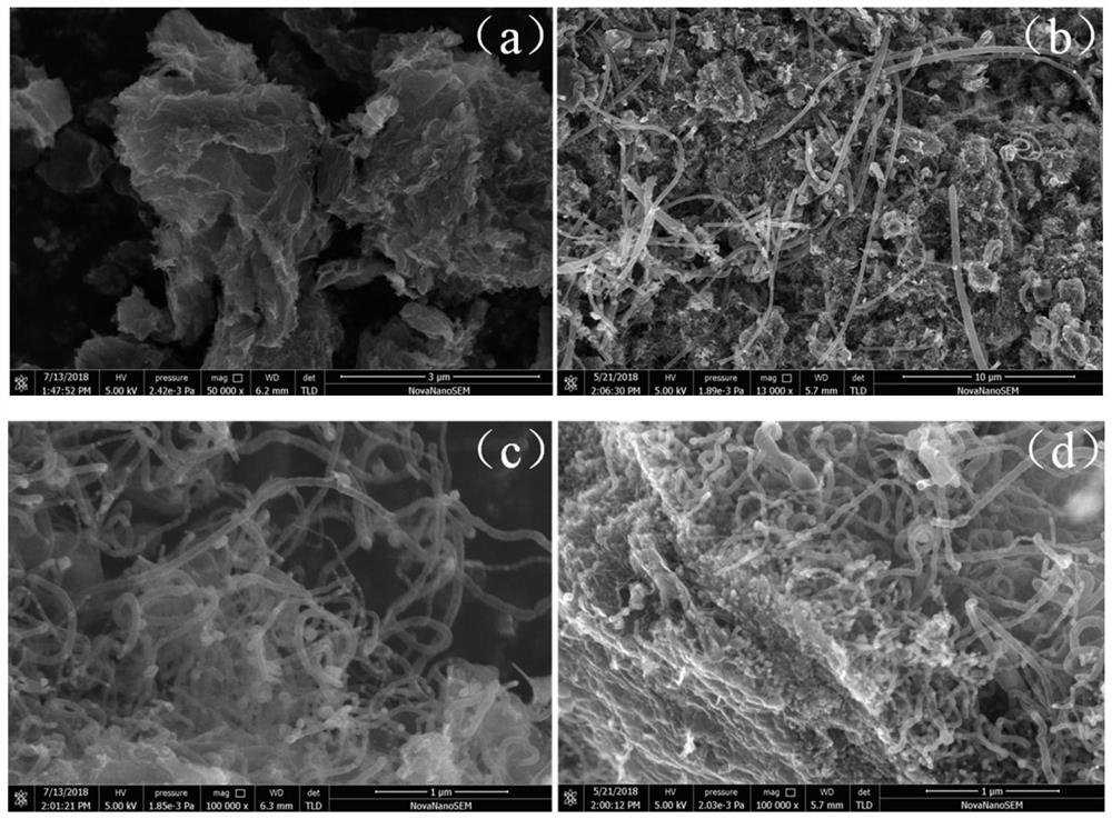 Preparation method and application of a heteroelement-doped carbon nanotube-encapsulated metal sulfide composite negative electrode material