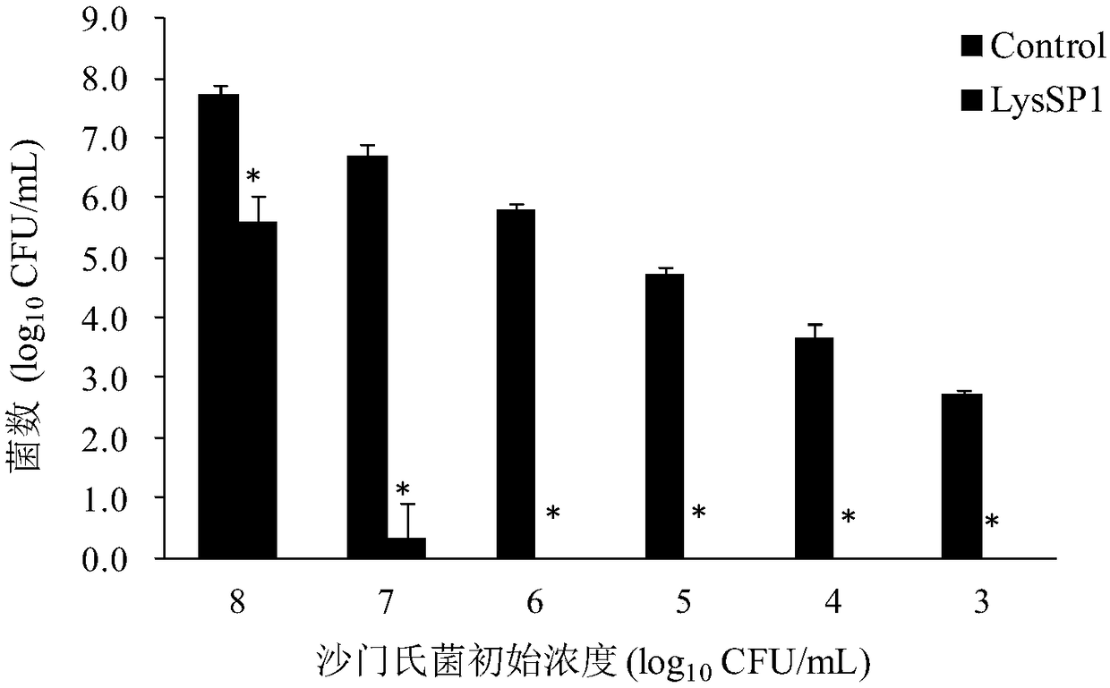 Broad-spectrum lyase derived from salmonella bacteriophage and antibacterial application thereof