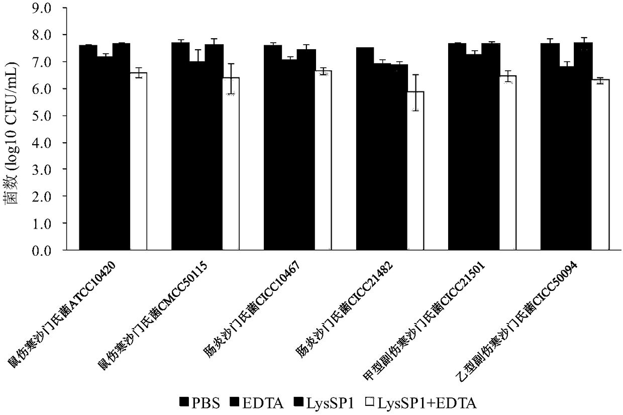 Broad-spectrum lyase derived from salmonella bacteriophage and antibacterial application thereof