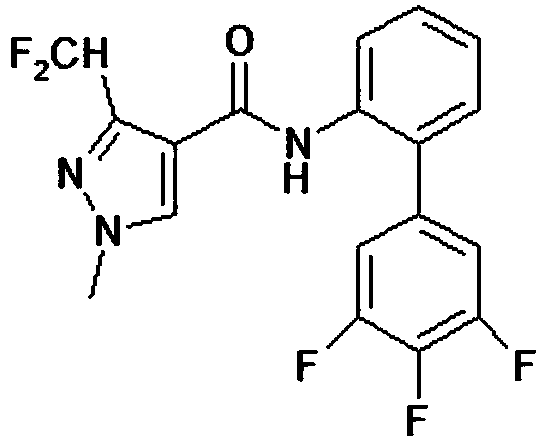 Compound bactericide