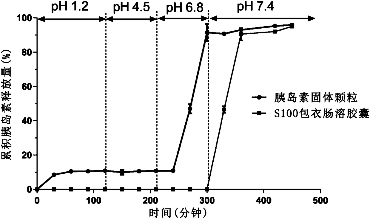 Polypeptide-protein-drug-carried solid particulate matter and double-enteric solid preparation containing same, and preparing methods and application of polypeptide-protein-drug-carried solid particulate matter and double-enteric solid preparation