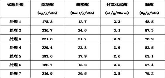 Microbial fertilizer with continuous cropping resisting effect, preparation method and application thereof